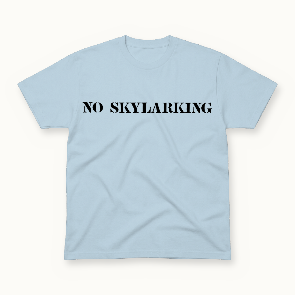 No Skylarking Tee in powder blue
