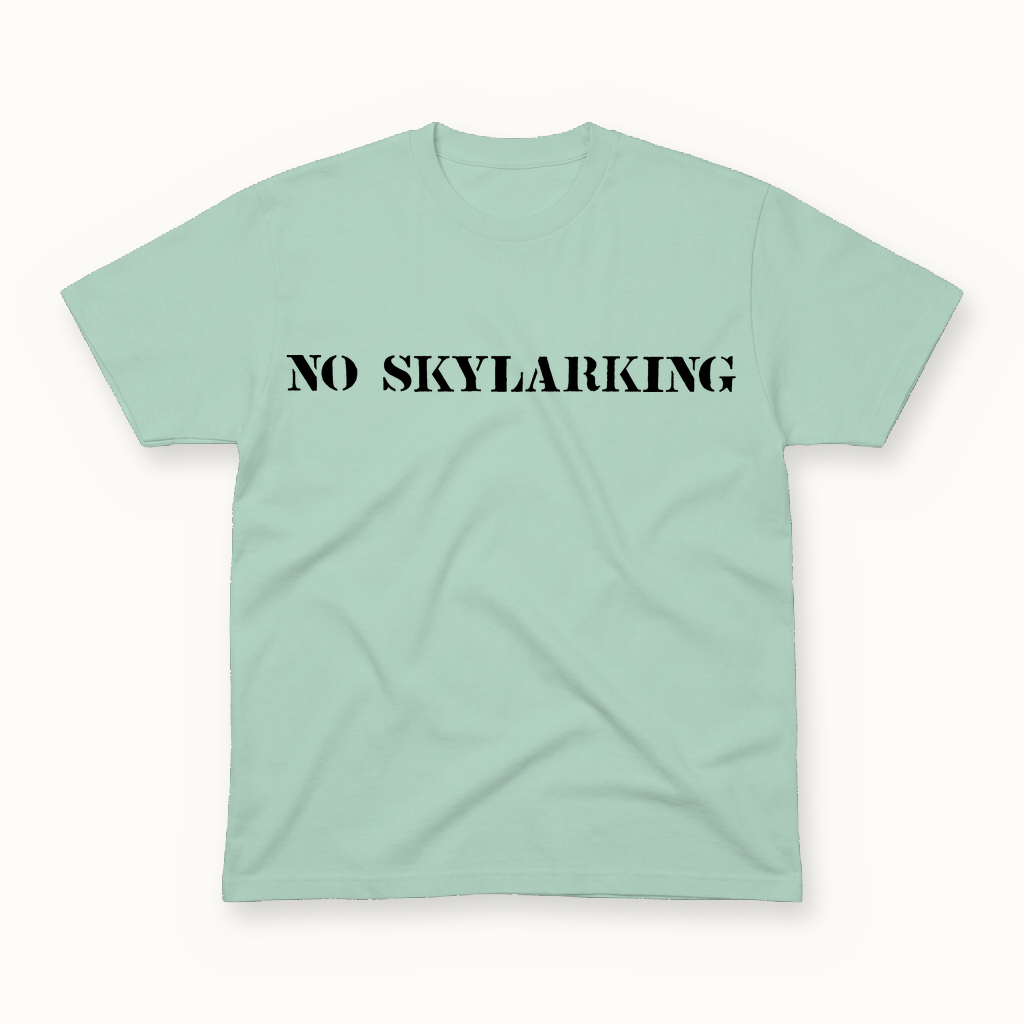No Skylarking Tee in seafoam