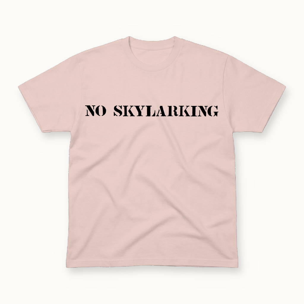 No Skylarking Tee in shell blush